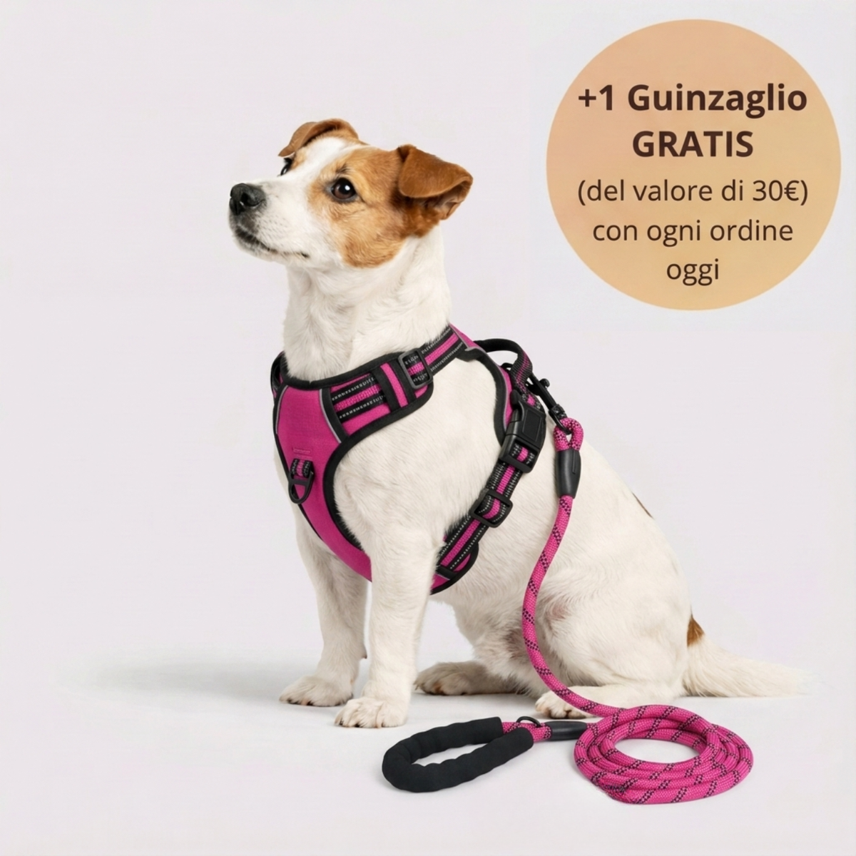 La Pettorina che cambia le vostre passeggiate