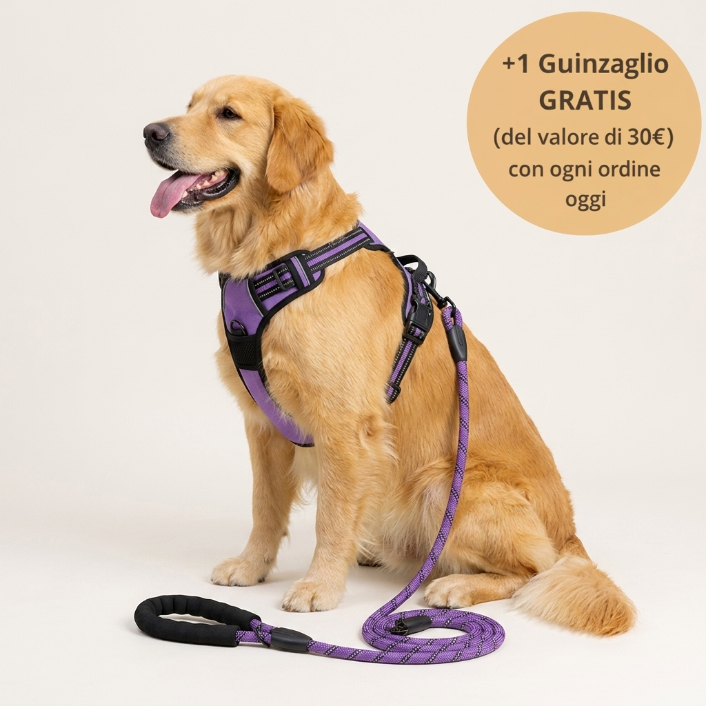 La Pettorina che cambia le vostre passeggiate
